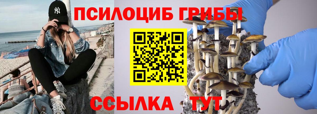 Псилоцибиновые грибы Cubensis Саянск