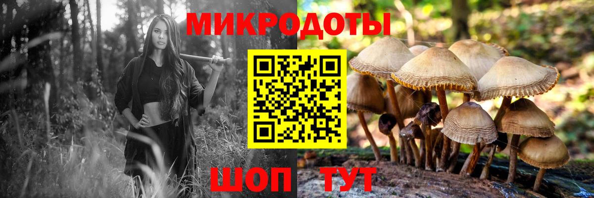 купить  цена  Псилоцибиновые грибы Magic Shrooms  Вход с VPN  Саянск 